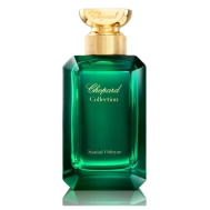 Chopard Santal Odeyar