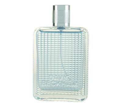 David Beckham The Essence 105458