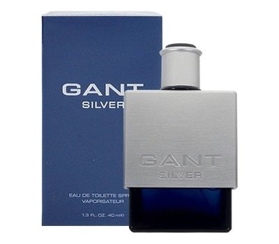 Gant Silver 109087