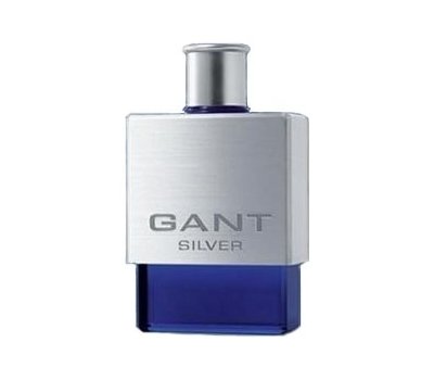 Gant Silver 109088
