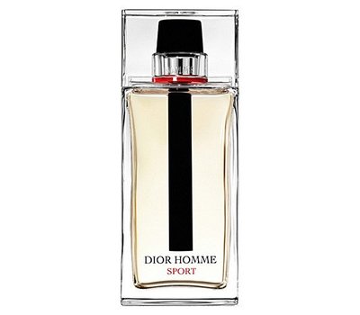 Christian Dior Homme Sport 2017