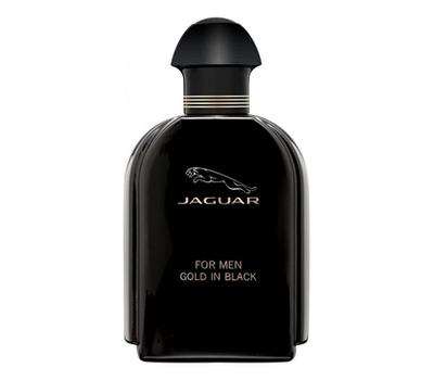 Jaguar for Men Gold in Black